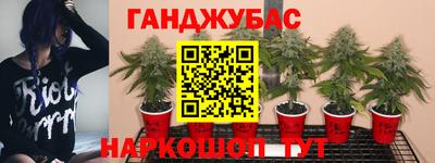 mix Гай